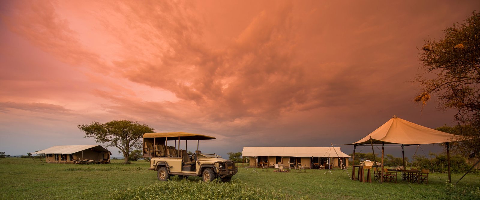 Serengeti plains